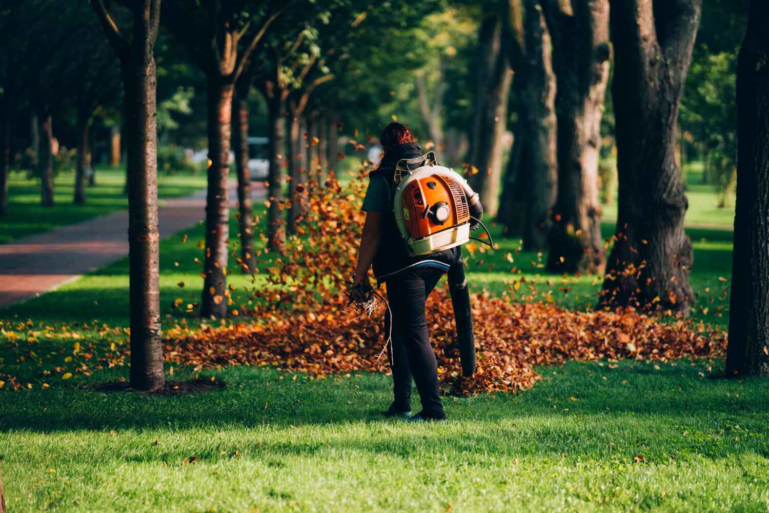 Best Tree Stump Removal  in Winter Springs, FL